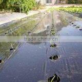 Agricultural Perforated Plastic Film Manufacturer thumbnail-2