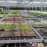 New Premium Flower Greenhouse Benches Expanded Mesh For Seeding Bed thumbnail-1