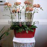 Made in China Self Watering Abs Fiberglass Vase