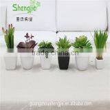 SJLJ013384 Artificial Plant / Fake Plastic Succulent Plant for Office / Restaurant Decoration thumbnail-1
