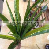 Artificial Fern for Dinosaur Park thumbnail-6