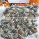 Boiled Short Neck Clam Nature Fresh FAO61 thumbnail-2
