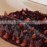 Sea Cucumber thumbnail-1