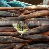 Below 150g Frozen Illex Argentinus Squid thumbnail-2