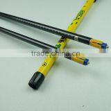 Fashionable Adjustable Telescopic Nordic Carbon Fiber Walking Poles thumbnail-3