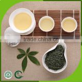 China gift tea New product organic maojian Best green tea