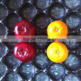 14/16/20/23/25/30 Cells 29*49cm Inner Liner in Packaging Pear thumbnail-1