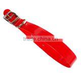 TPU Coated Dog Collar Wholesale thumbnail-2
