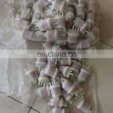 Factory Price Auto Engine Plastic Fuel Filter 243-62101-20 2436210120 For Robin thumbnail-4