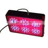 Full Spectrum Aluminum Lamp Rating Led Grow Light thumbnail-5