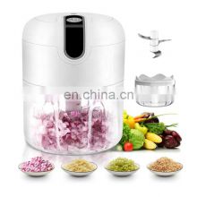 Buy Wholesale China Mini Electric Chopper For Food And All Kinds Of  Vegetable & Chopper at USD 8.6