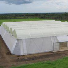 Uv Resistant Insect Net Nylon for Screen House
