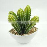 Factory Price Hot Sale Plastic Bonsai Home Artificial Cactus Plants thumbnail-2