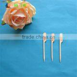 Color Bamboo Skewers