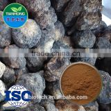 Manufacturer Pure Natural High Quality Maca root extract