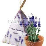 Mini Pyramid Garden, Flower Garden,Sunflower thumbnail-3