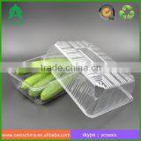 Transparent PS PP PET Disposable Plastic Vegetable Tray Tomato Tray thumbnail-3