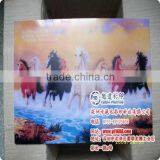 High Quality Piezoelectric Inkjet Printer ( DX5 Head 1440dpi) thumbnail-1