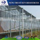 Best Selling PC Sheet/board Agricultural Greenhouse for Sale thumbnail-4
