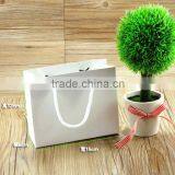 Nice Various Size White Shopping Paper Bag,Cheap Kraft Paper Coin Pouch thumbnail-4