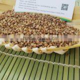 Chinese Roasted Buckwheat Kernel for Georgia Wholesale thumbnail-1