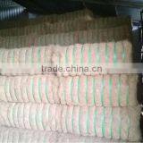 Coconut Fiber 2016 in Vietnam (qq : 2598494113) thumbnail-3