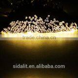 New Arrival Decoration 12v Led Garden Light thumbnail-5