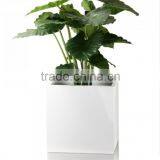 Flower Fiberglass Beautiful Water Proof Pot Planter Sale thumbnail-4
