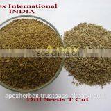 Dill Seeds / Anthem Graveolens Seeds / Pure Anthem Graveolens / Suwa thumbnail-3