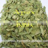 Senna Leaves No. 3 thumbnail-3