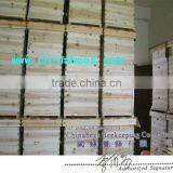 Hot Sale White Colour 5 Frame Folding Beehive thumbnail-2