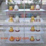 Automatic Chicken Poultry Farming Equipment