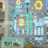 Shandong Tranlin Paper Co., Ltd. company overview - view 1 thumbnail