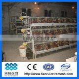 Automatic Poultry Cages for Layer Chickens thumbnail-1