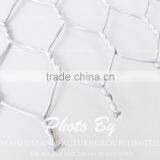 Stainless Steel Hexagonal Wire Mesh