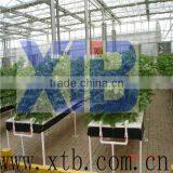 Glass Greenhouse for Hydroponic Systems thumbnail-1