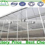 Multi-Span Agricultural Commercial Greenhouses Type and PC Sheet Cover Material Tunnel With Polycarbonate thumbnail-1