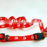 Dog Leash and Collar thumbnail-1