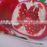 17.5 oz Pvc Flex Banner Coated 200*500 18*12 Frontlit thumbnail-2