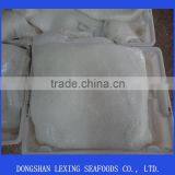 Frozen WR Illex Squid Bait