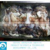 Frozen Peru Squid Neck(Giant Squid) thumbnail-2