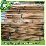 Vanished Eucalyptus Wooden Broom Handle/wooden Handle Manufacturer/wooden Handle Broom Made by China thumbnail-5