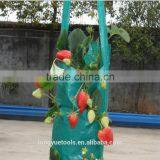 Cheap Eco-friendly Indoor Plastic Hanging Planting Bags thumbnail-3