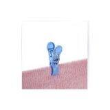 China Compression Spring Supplier thumbnail-2