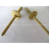 Paint Stainless Steel Rivets Big Hat