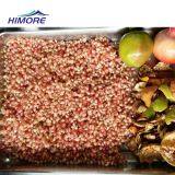 Automatic Pomegranate Arils Extraction Machine Pomegranate Peeling/Shelling Machine With PLC Control thumbnail-4