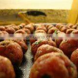 Automatic Meatball Making Machine /solid Ball Making Machine thumbnail-4