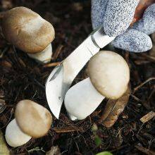 Grafter Foldable Garden Grafting Rosewood Handle Grafting Knife Cutter Knife Pruning thumbnail-5