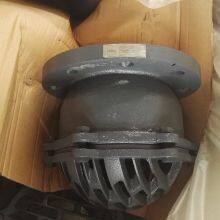 BS Standard Cast Iron Grey Iron Threaded Foot Valve PN10/PN16 Pressure Rating for Water Pump thumbnail-5