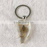 Promotional Real Black Scorpion Amber Wholesale Crystal Key Chain thumbnail-4
